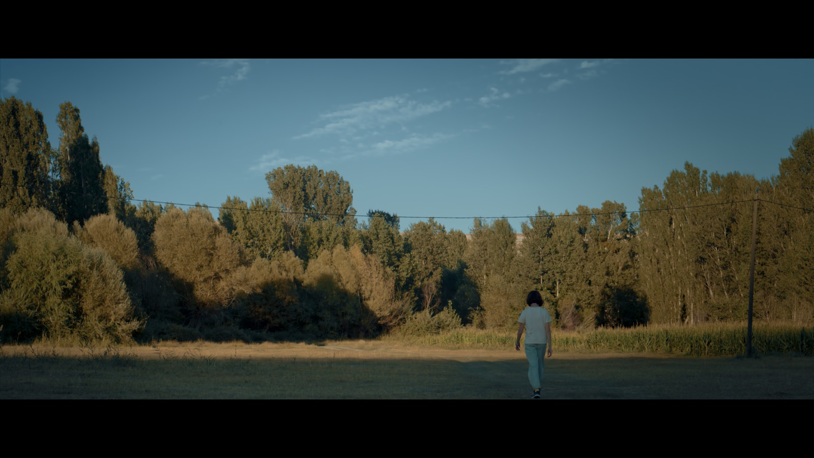 Kabahat — A girl walking across an open field toward trees in late afternoon light.